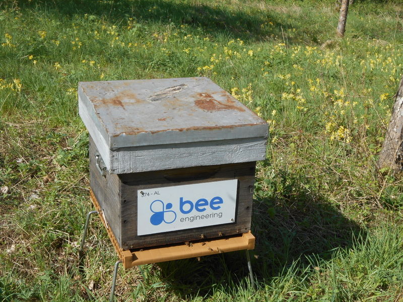 La ruche Bee engineering