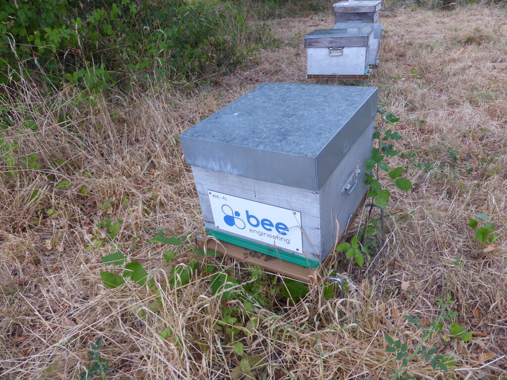 La ruche Bee engineering