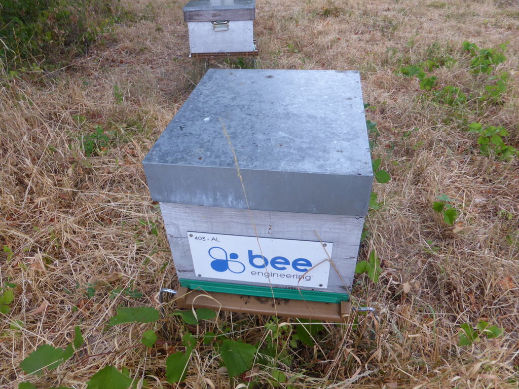 La ruche Bee engineering