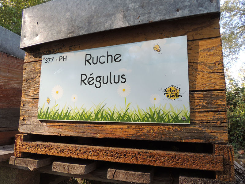 La ruche