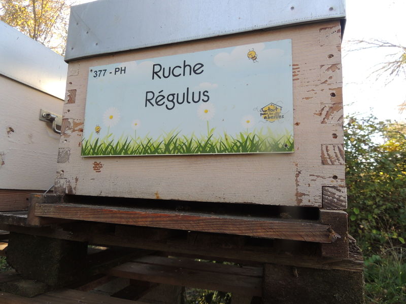 La ruche