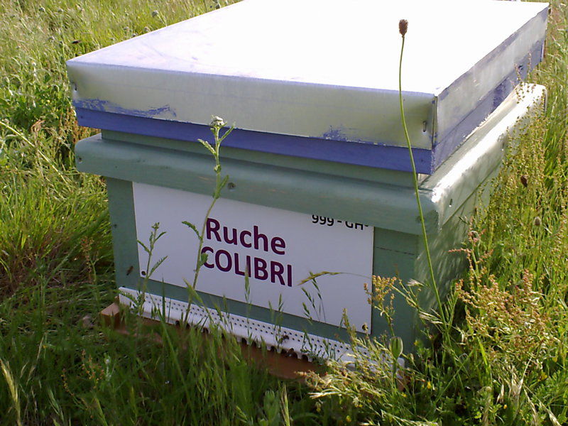 La ruche Colibri