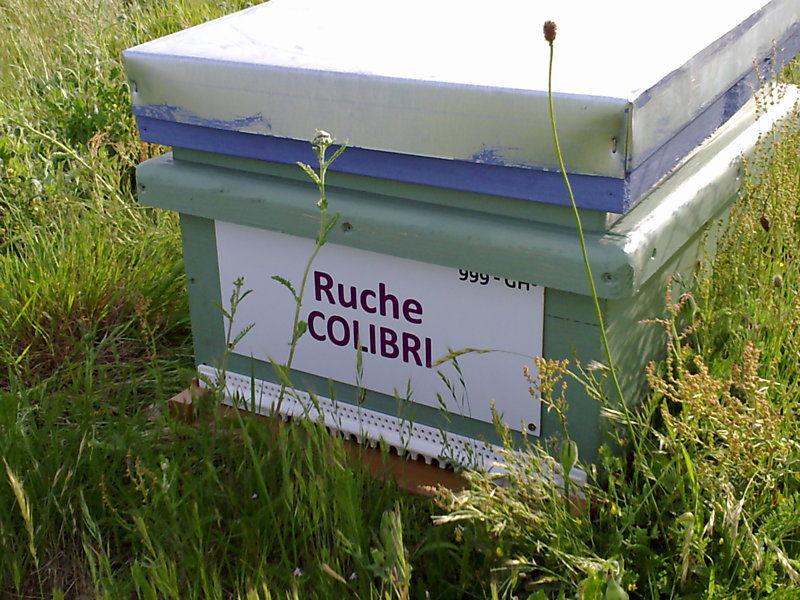 La ruche Colibri