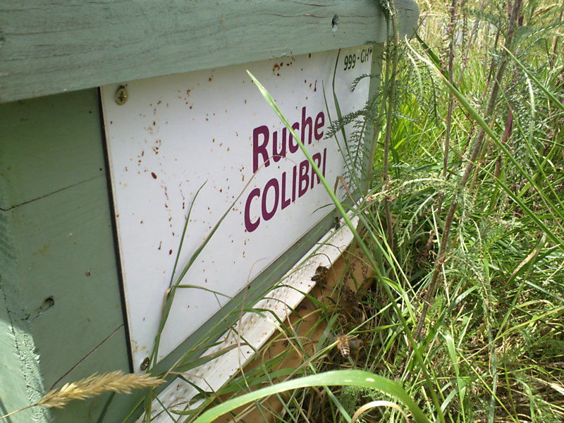 La ruche Colibri