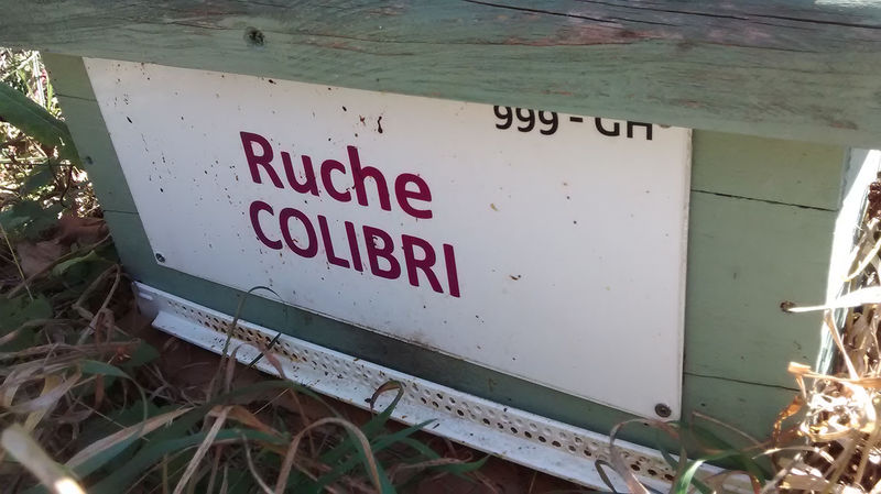 La ruche Colibri