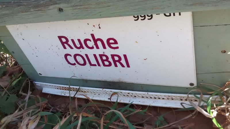 La ruche Colibri