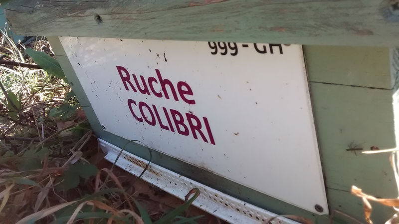 La ruche Colibri