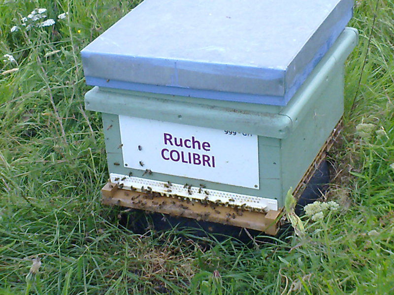 La ruche Colibri