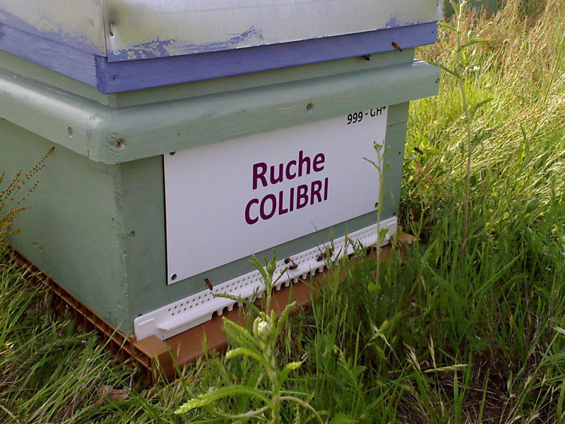 La ruche Colibri