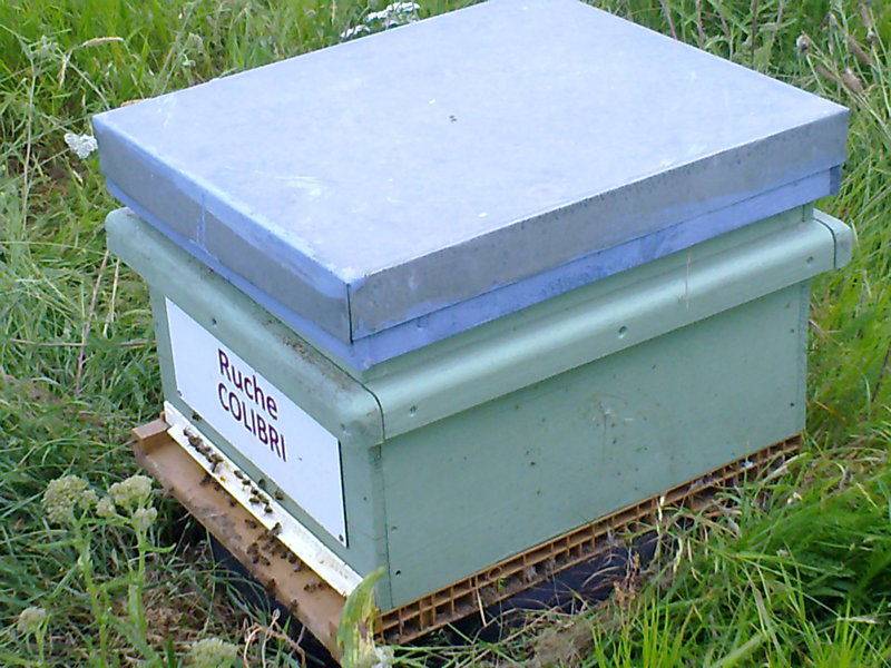 La ruche Colibri