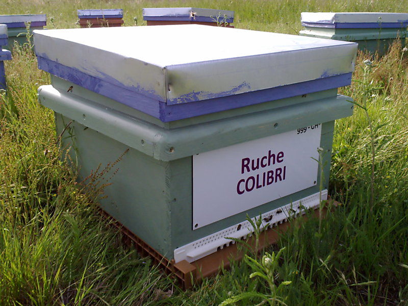 La ruche Colibri