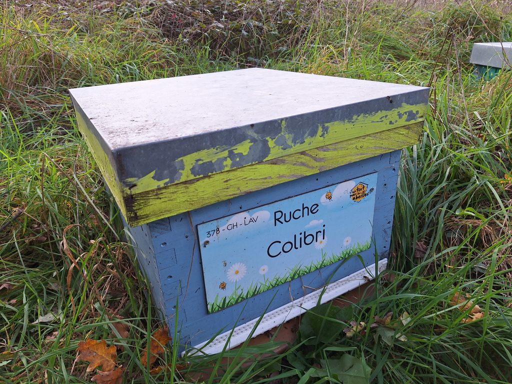 La ruche Colibri