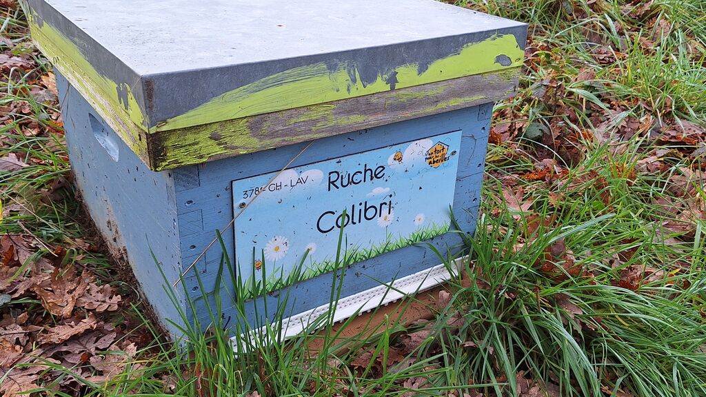 La ruche Colibri