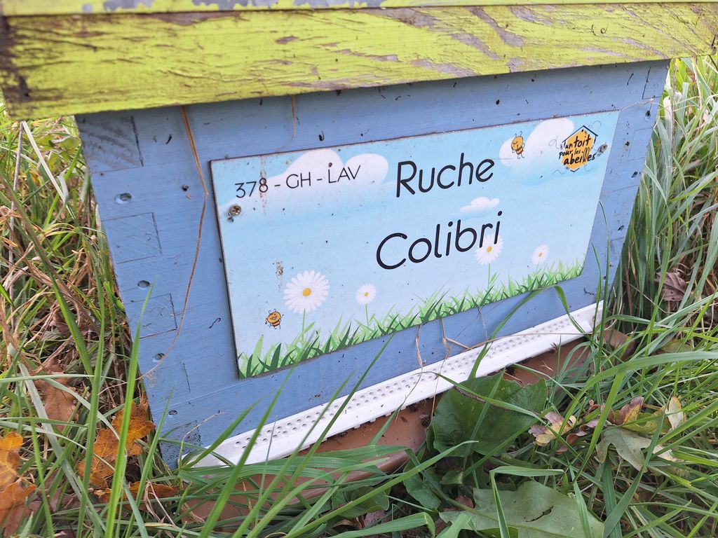 La ruche Colibri
