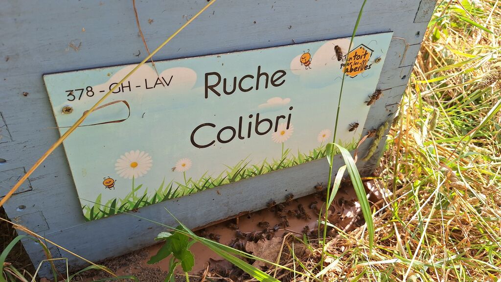 La ruche Colibri