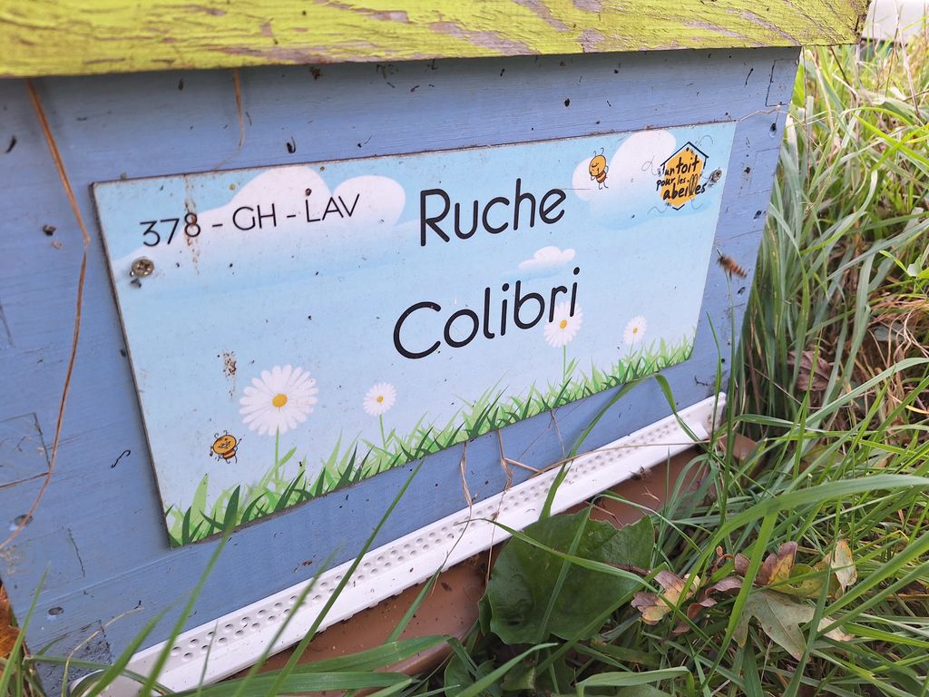 La ruche Colibri