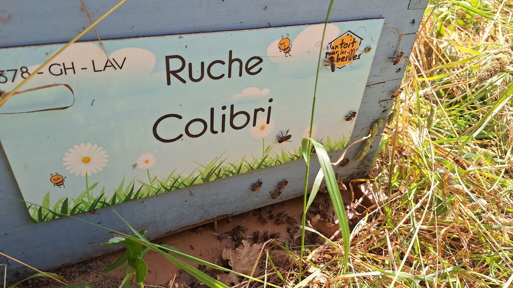 La ruche Colibri