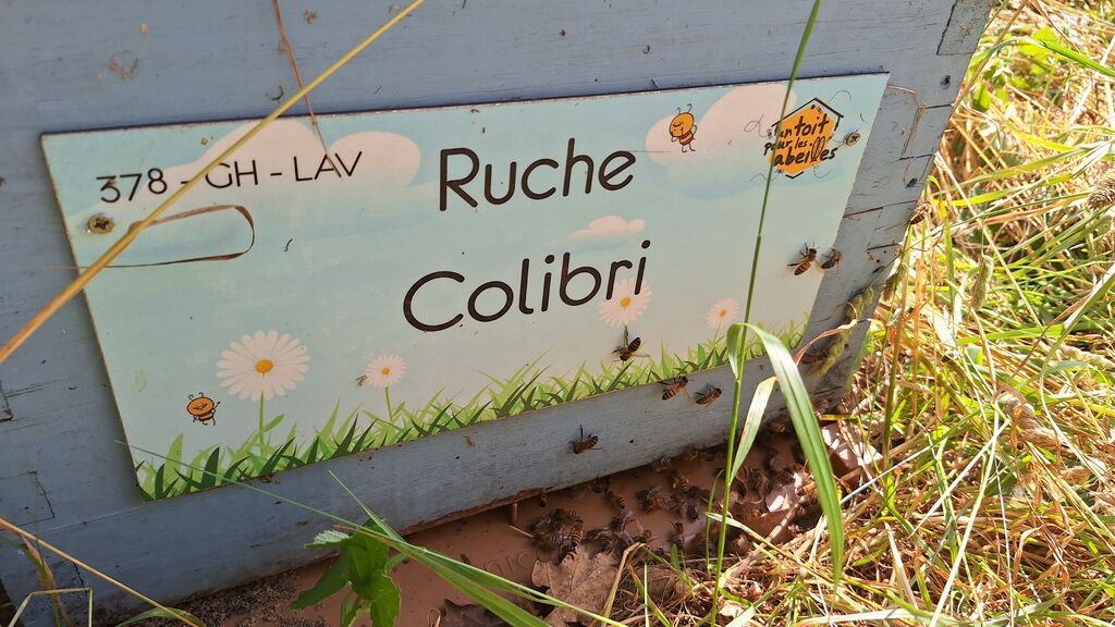 La ruche Colibri