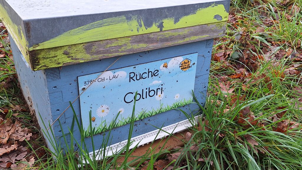 La ruche Colibri