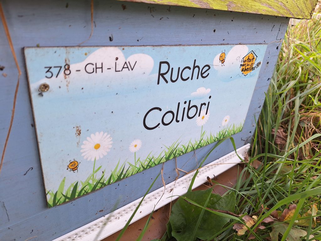 La ruche Colibri