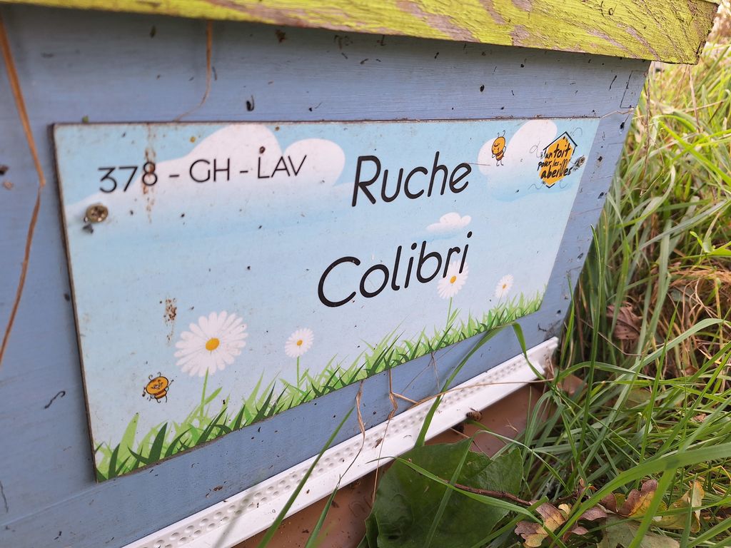 La ruche Colibri