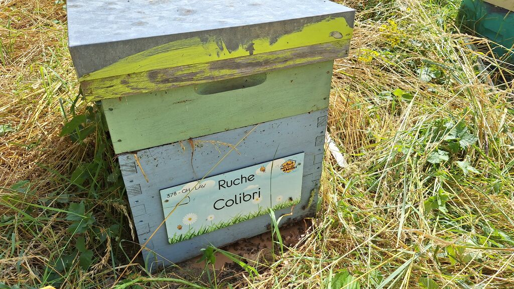 La ruche Colibri