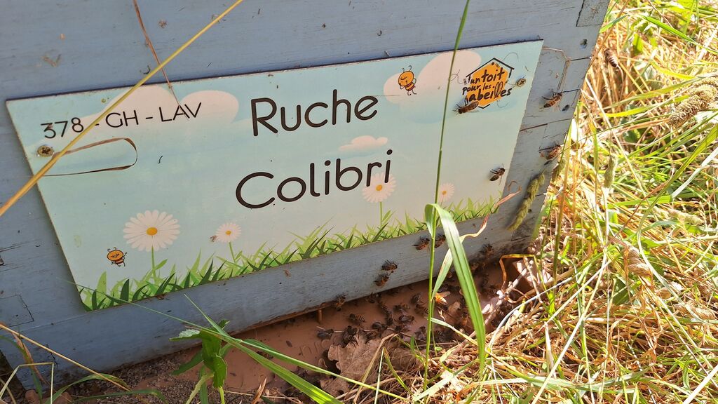 La ruche Colibri