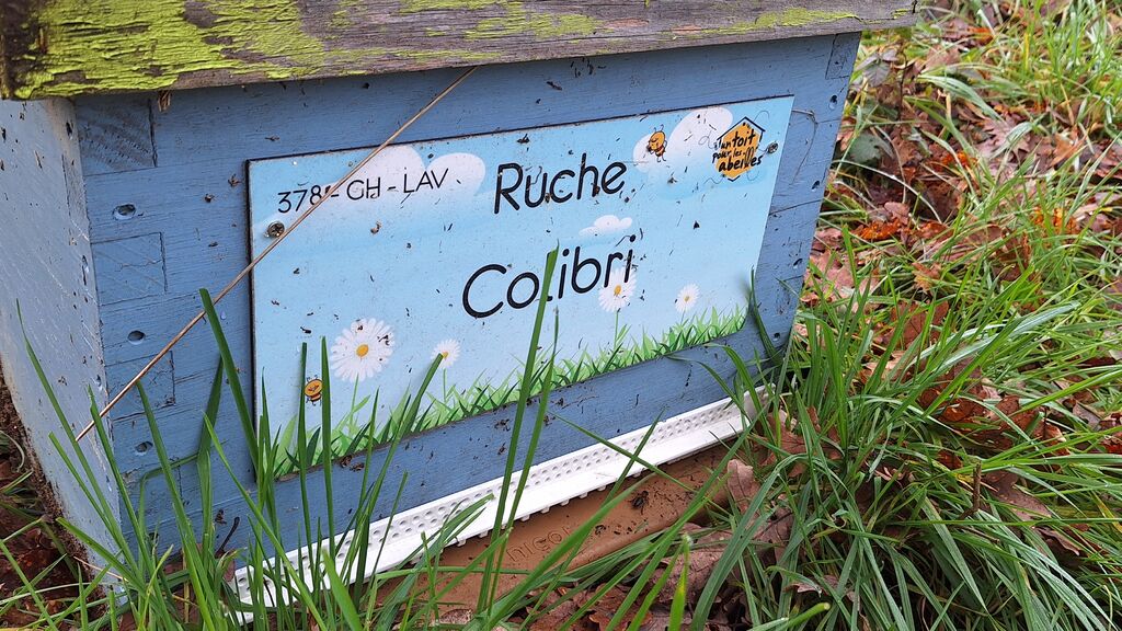 La ruche Colibri