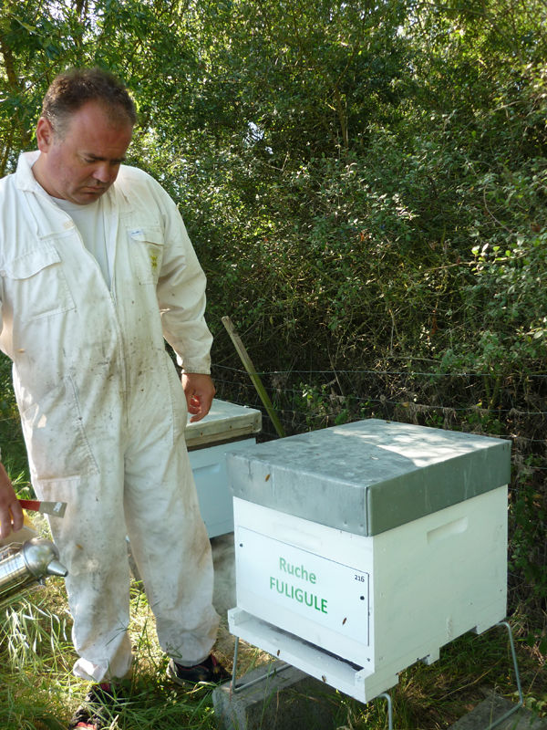 La ruche Fuligule
