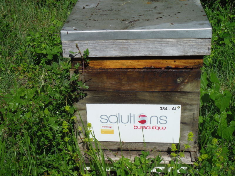 La ruche Solutions bureautique 77