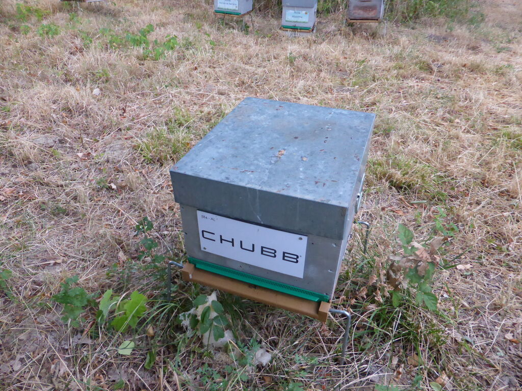 La ruche Chubb european group se