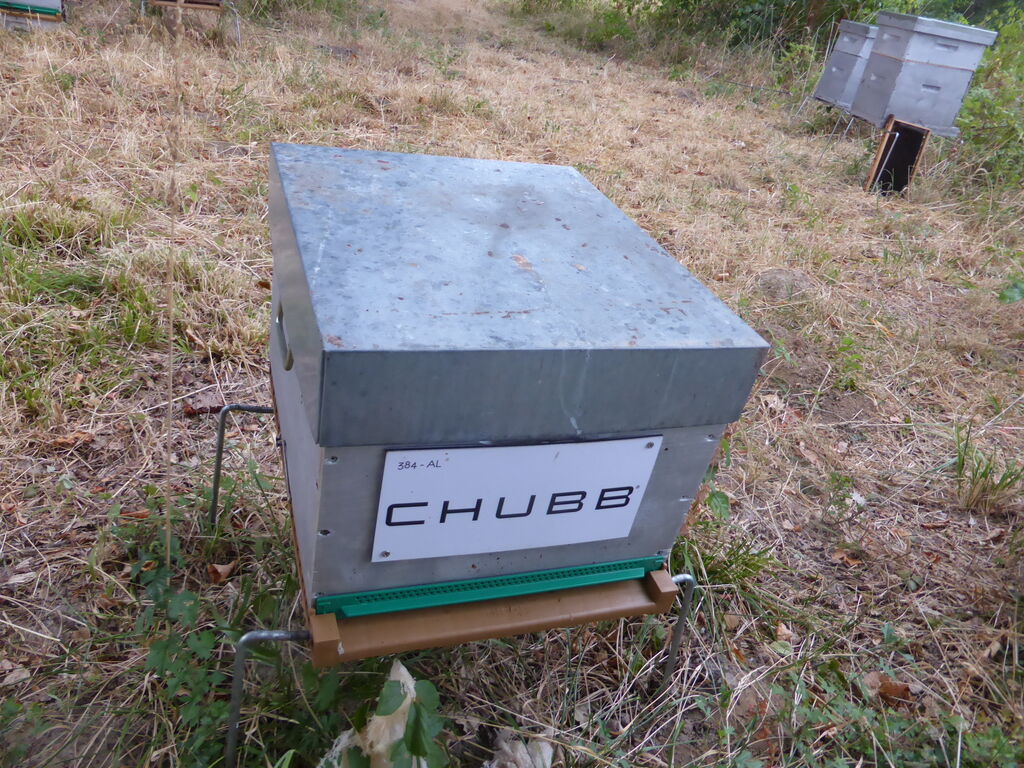La ruche Chubb european group se
