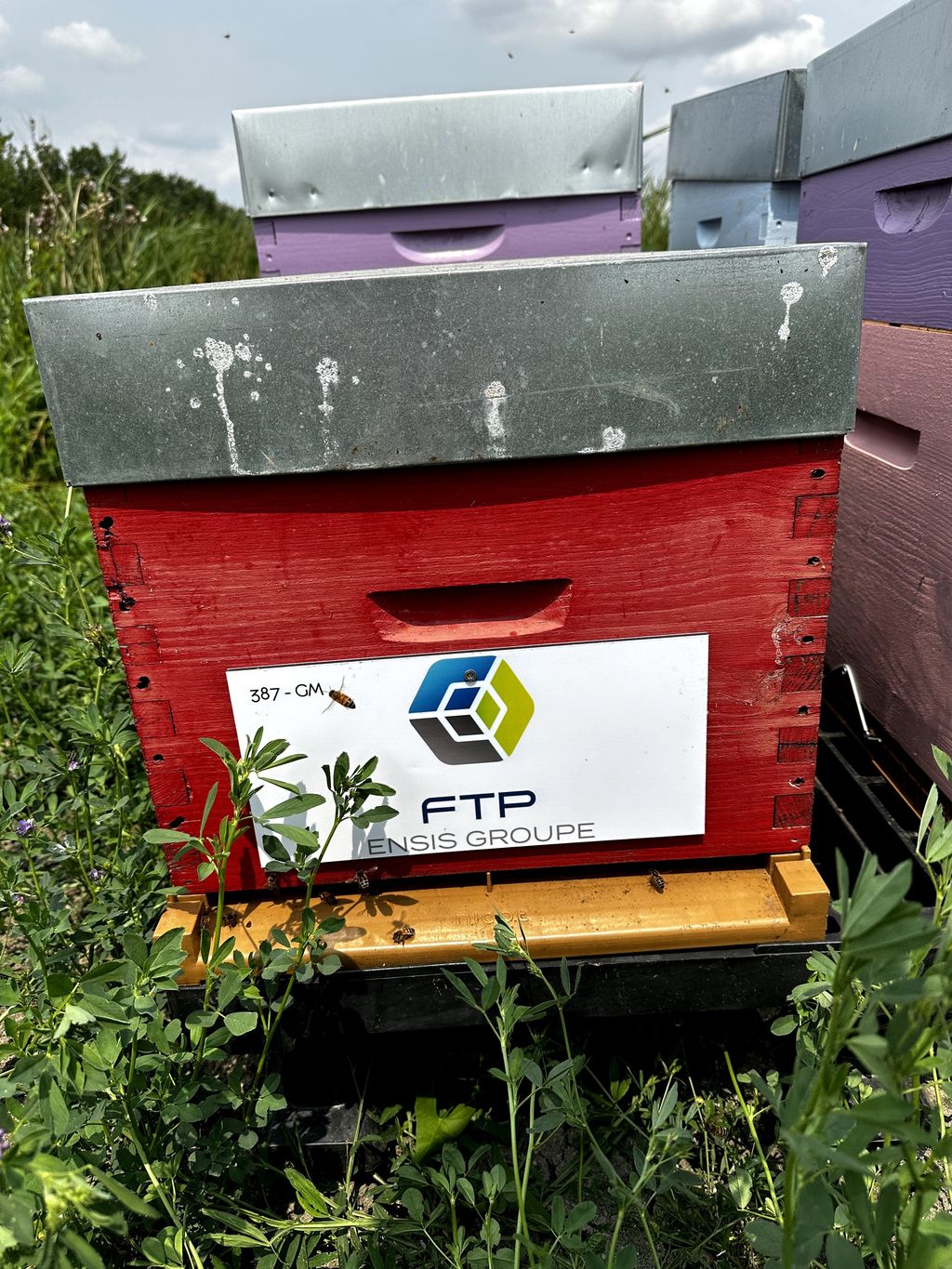 La ruche FTP