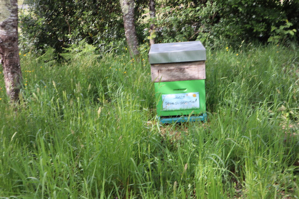 La ruche Sésie du pommier
