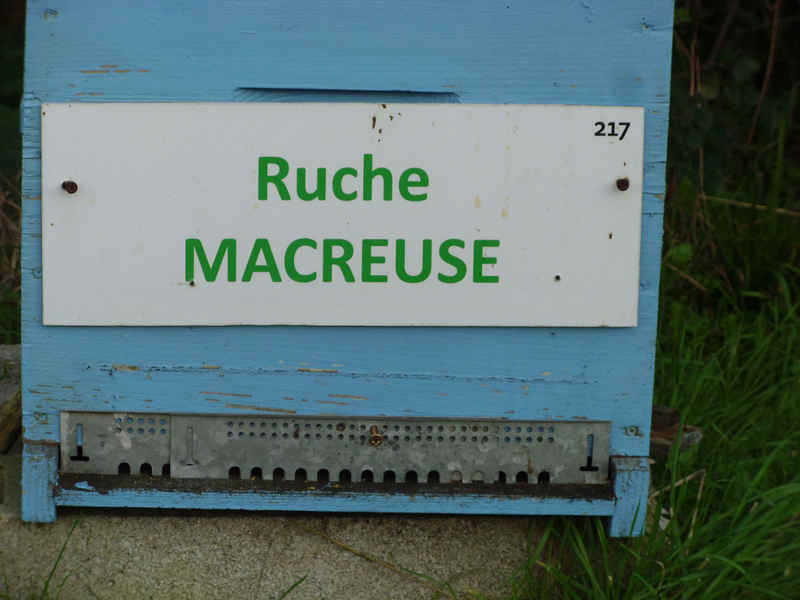 La ruche Macreuse