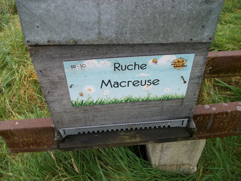 La ruche 