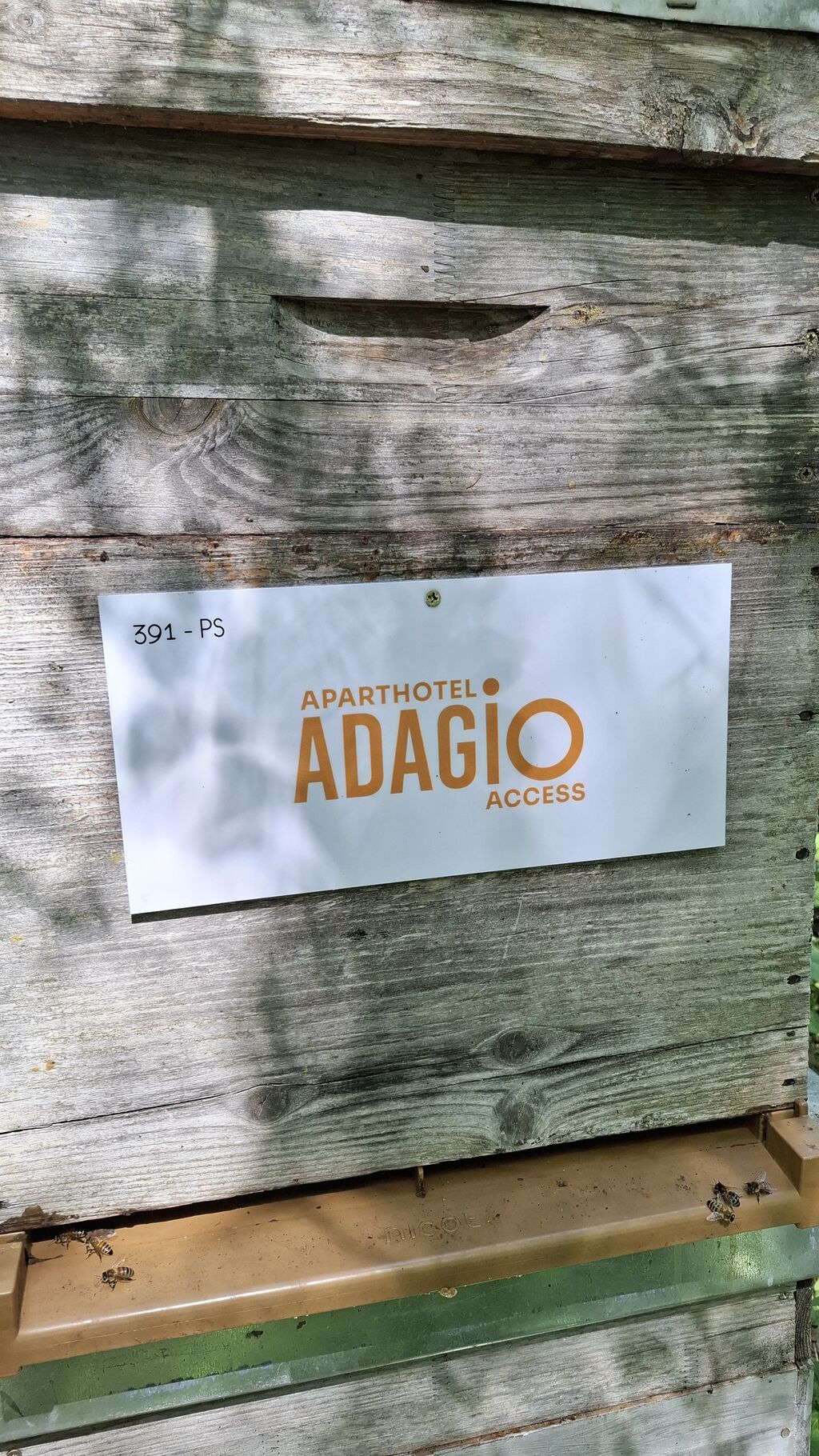 La ruche Adagio access Orléans