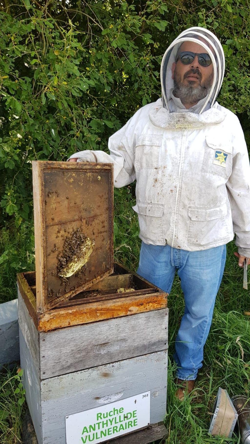 La ruche Anthyllide vulnéraire
