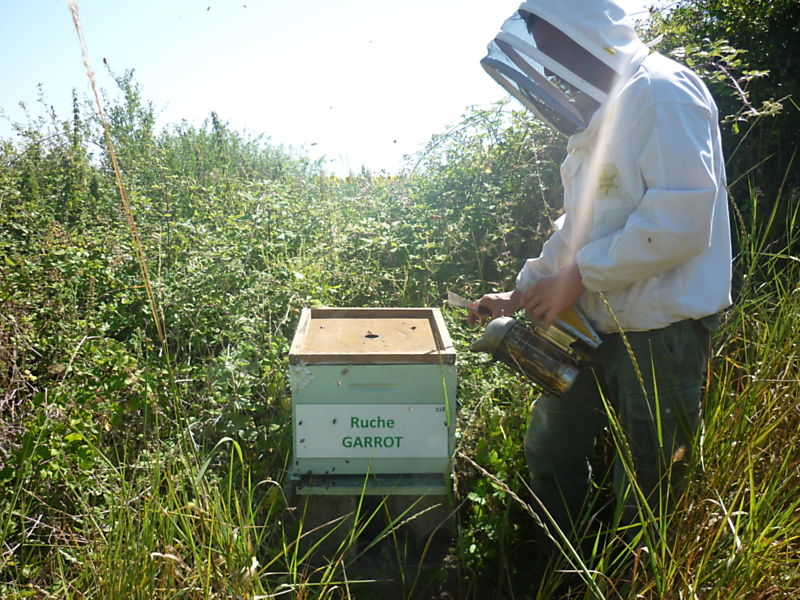 La ruche Garrot
