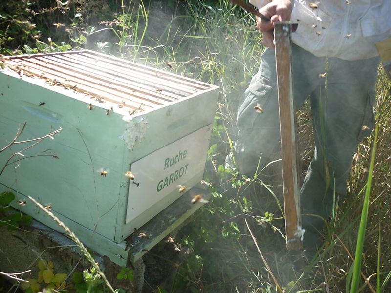 La ruche Garrot