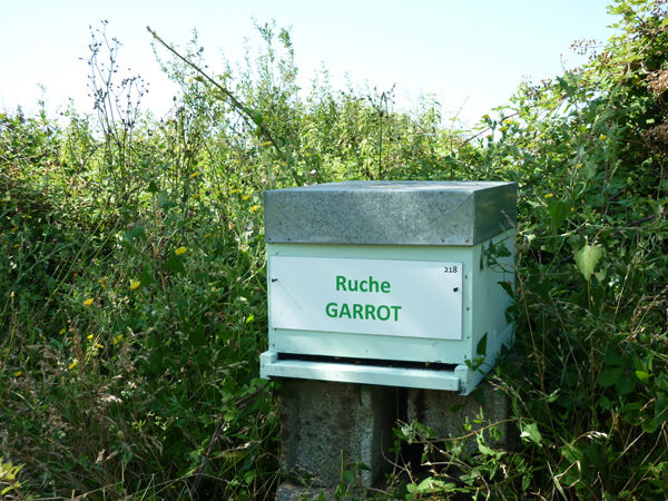 La ruche Garrot