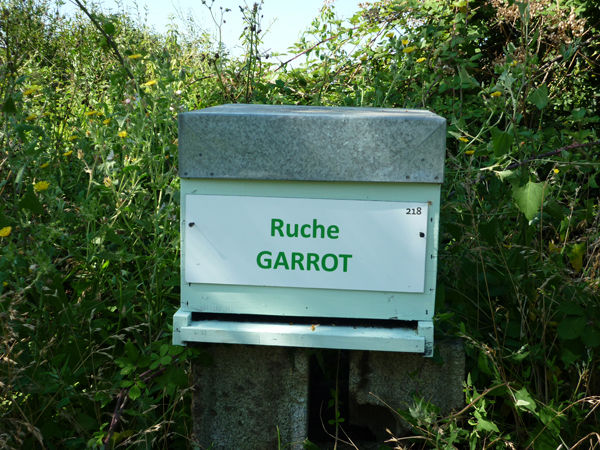 La ruche Garrot