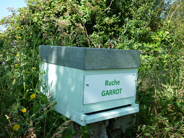 La ruche Garrot