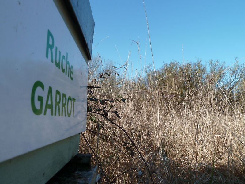 La ruche Garrot