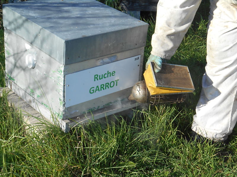 La ruche Garrot