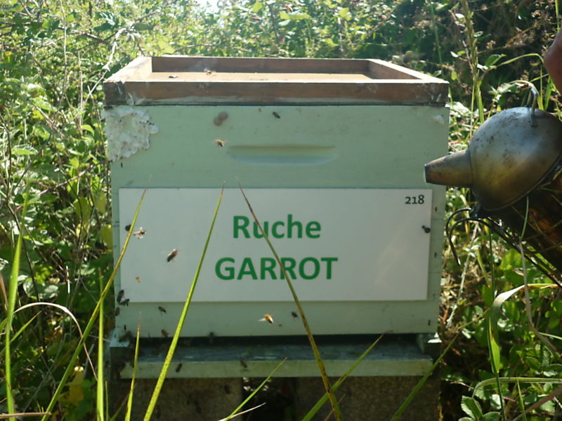 La ruche Garrot