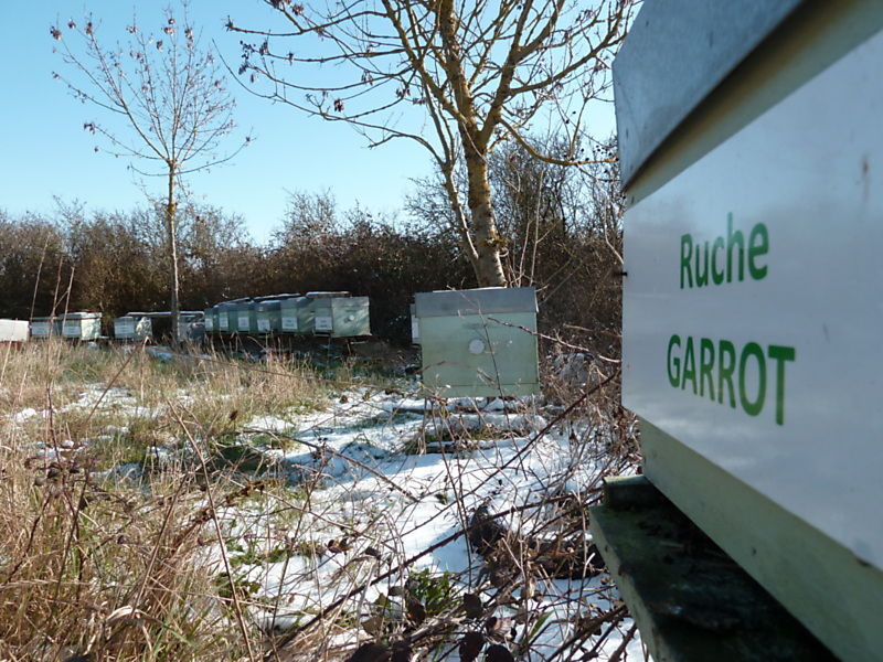 La ruche Garrot