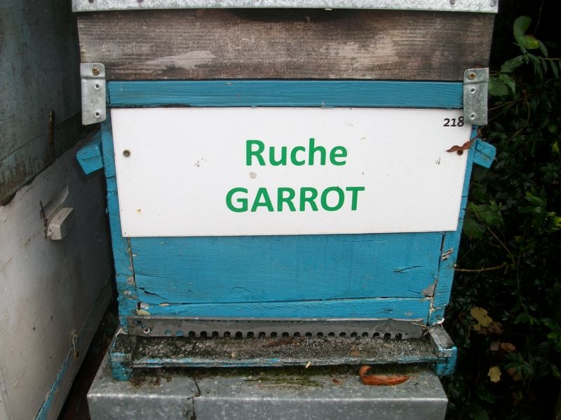 La ruche Garrot