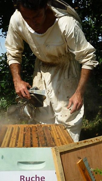 La ruche Angélique des bois