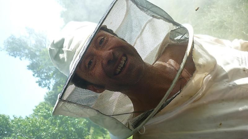 La ruche Angélique des bois